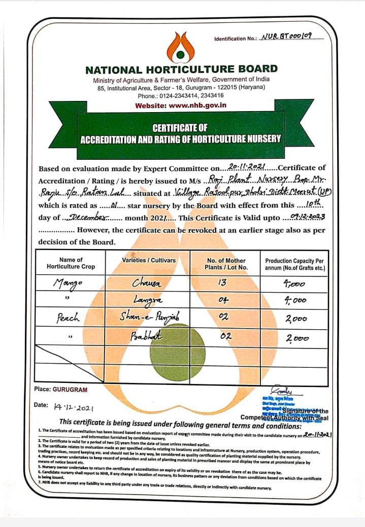 Raj Plant Nursery greenhouse